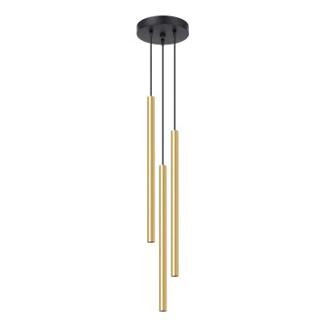 Kattokruunu johdossa PASTELO 3xG9/8W/230V kulta