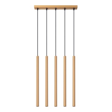 Kattokruunu johdossa PASTELO 5xG9/8W/230V kulta