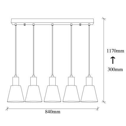 Kattokruunu kaapelikiinnityksellä KEM 5xE27/40W/230V, kultainen