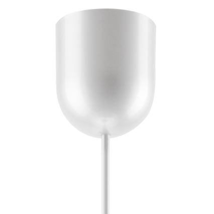Kattokruunu narulla 1xE27/60W/230V lehtiä