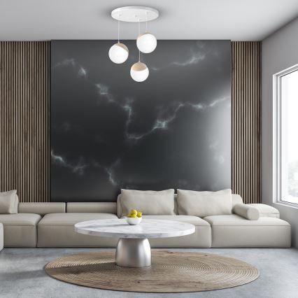 Kattokruunu narulla SFERA WOOD 3xE14/40W/230V