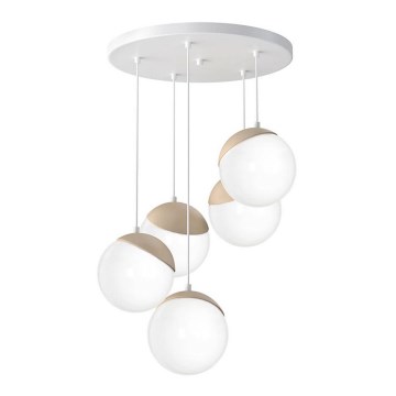 Kattokruunu narulla SFERA WOOD 5xE14/40W/230V