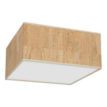 Kattovalaisin CORK 2xE27/60W/230V
