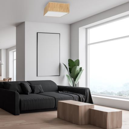 Kattovalaisin CORK 2xE27/60W/230V