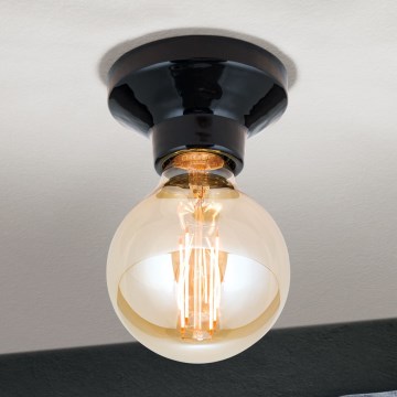 Kattovalaisin FROST 1xE27/60W/230V musta