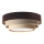 Kattovalaisin TRINITI 2xE27/60W/230V ruskea/beige/kulta