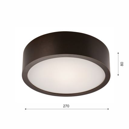 Kattovalo 1xE27/60W/230V mänty - FSC sertifioitu