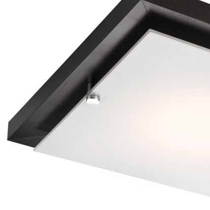 Kattovalo 1xE27/60W/230V mänty - FSC sertifioitu