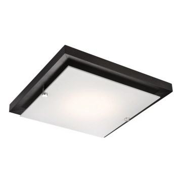 Kattovalo 1xE27/60W/230V mänty - FSC sertifioitu