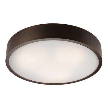 Kattovalo 3xE27/60W/230V mänty - FSC sertifioitu
