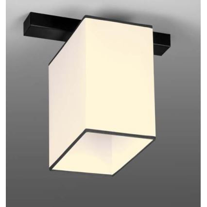 Kattovalo BACARA 1xE27/60W/230V