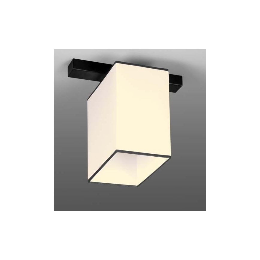 Kattovalo BACARA 1xE27/60W/230V