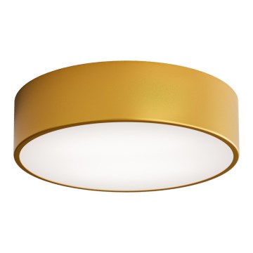 Kattovalo CLEO 2xE27/24W/230V d. 30 cm gold