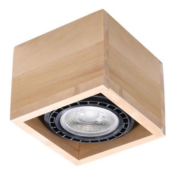 Kattovalo QUATRO AR111 1xGU10/40W/230V pyökki
