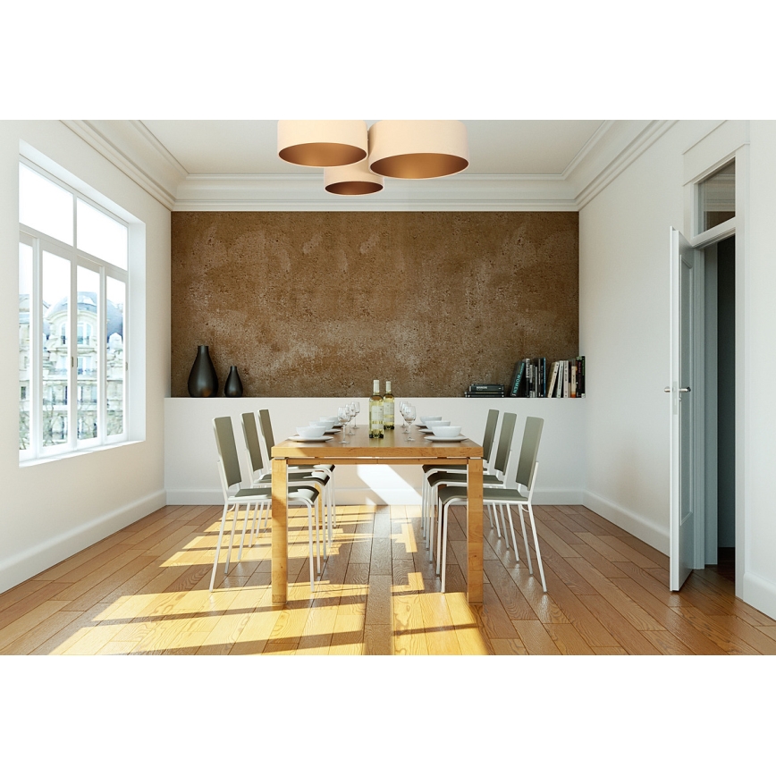 Kattovalo SPACE 3xE27/60W/230V