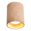 Kattovalo TUBA GU10/15W/230V