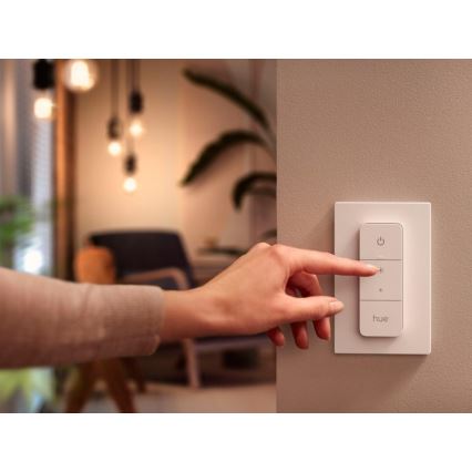 Kaukosäädin Philips Hue SWITCH V2 1xCR2032