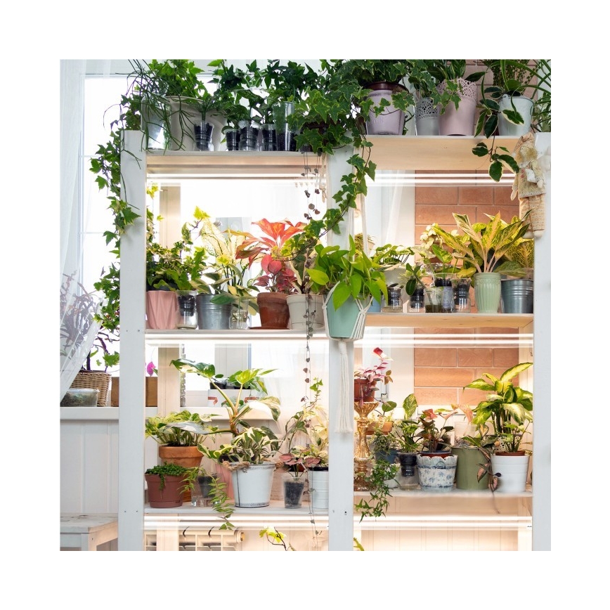 Keittiökaappien alla oleva LED-valo kasvien kasvattamiseen GROWLY 2xLED/8,5W/230V valkoinen