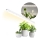 Keittiökaappien alla oleva LED-valo kasvien kasvattamiseen GROWLY LED/15W/230W