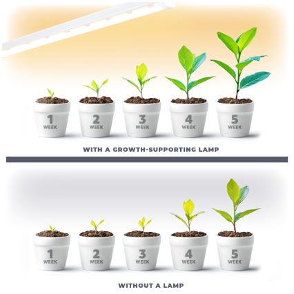Keittiökaappien alla oleva LED-valo kasvien kasvattamiseen GROWLY LED/15W/230W