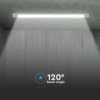 Keittiökaappien alla oleva LED-valo LED/10W/230V 6500K 30 cm