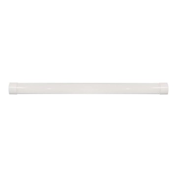 Keittiökaappien alla oleva LED-valo LED/40W/230V 4000K 116 cm