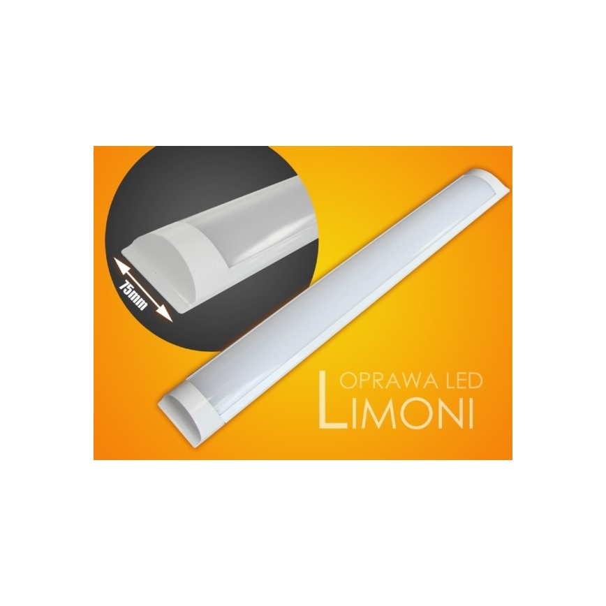 Keittiökaappien alla oleva LED-valo LIMONI LED/40W/230V 3000K 120 cm