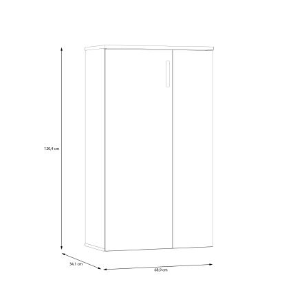 Kenkäkaappi ETON artisan-tammi/vihreä