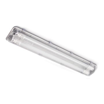 Kestävä loistelamppu 2xG13/9W/230V IP65