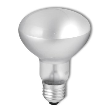Kestävä valonheitinpolttimo R63 E27/40W/230V 2700K