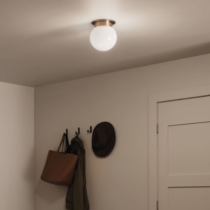 Kichler KL-ALBERS-F-G-CPZ-Kattovalaisin ALBERS 1xE27/40W/230V halkaisija 20,3 cm kultainen