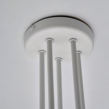 Kiinteä kattokruunu MATYLDA 5xE27/60W/230V valkoinen