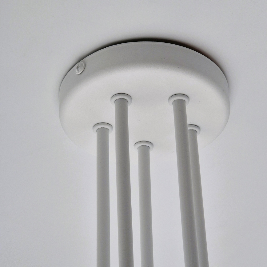 Kiinteä kattokruunu MATYLDA 5xE27/60W/230V valkoinen