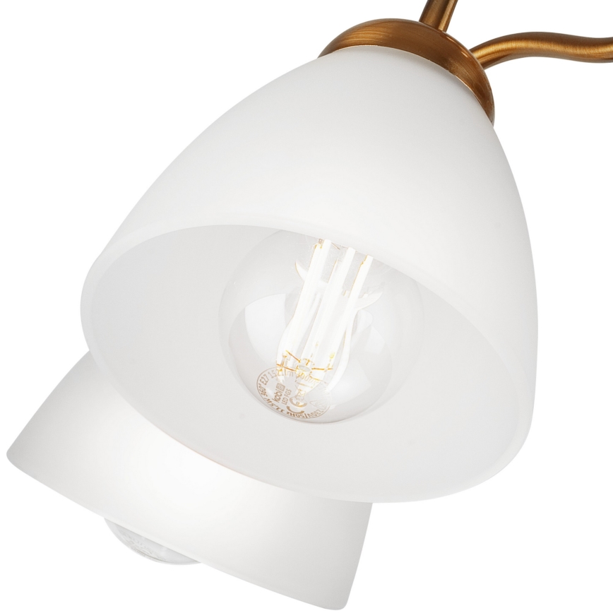 Kiinteä kattokruunu MIRANDA 1xE27/60W/230V kulta