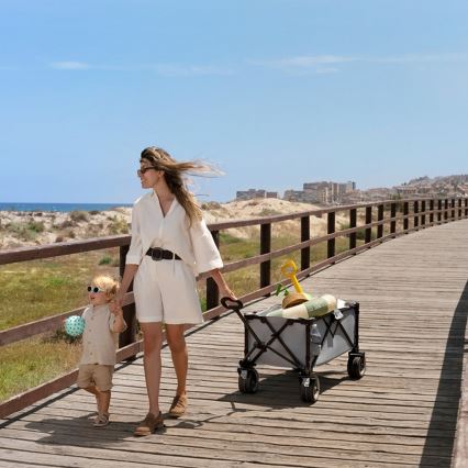 KINDERKRAFT - Taitettava kuljetusvaunu WAGON ROLLSTER harmaa