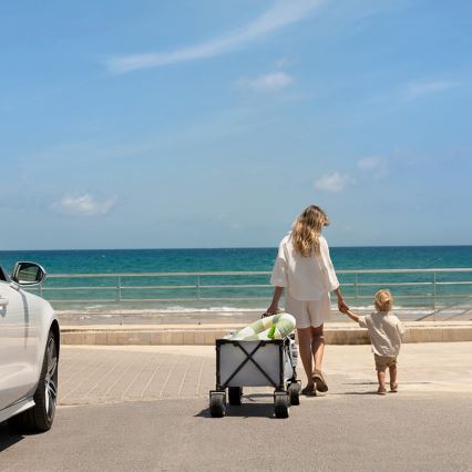 KINDERKRAFT - Taitettava kuljetusvaunu WAGON ROLLSTER harmaa