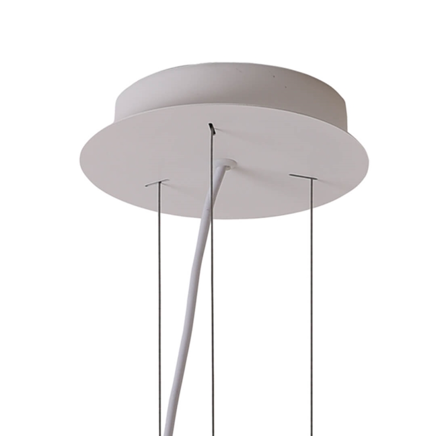 LED-kattokruunu johdossa PADDY LED/24W/230V valkoinen