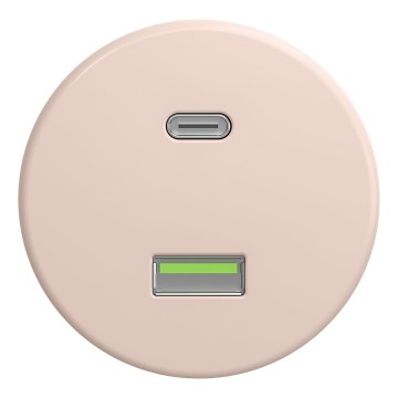 Kliklap - Retro kehyksetön USB-pistorasia A+C antiikkiroosa