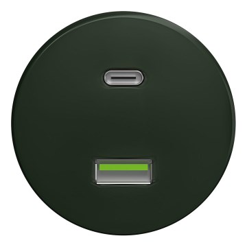 Kliklap - Retro USB-pistorasia A+C ilman kehystä vihreä