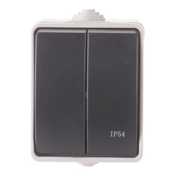 Kodin sarjakytkin 250V / 10A IP54