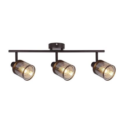 Kohdevalo CANABERA 3xE14/40W/230V