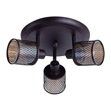 Kohdevalo CANABERA 3xE14/40W/230V