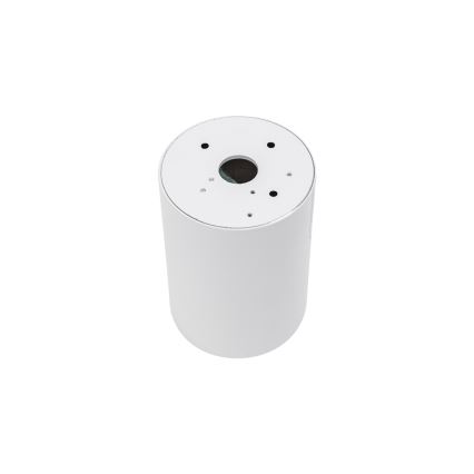 Kohdevalo CHLOE 1xGU10/35W/230V pyöreä valkoinen/kultainen