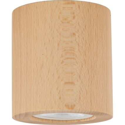 Kohdevalo EVE 1xGU10/10W/230V pyökki