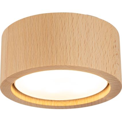 Kohdevalo EVE 1xGX53/11W/230V pyökki