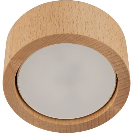 Kohdevalo EVE 1xGX53/11W/230V pyökki