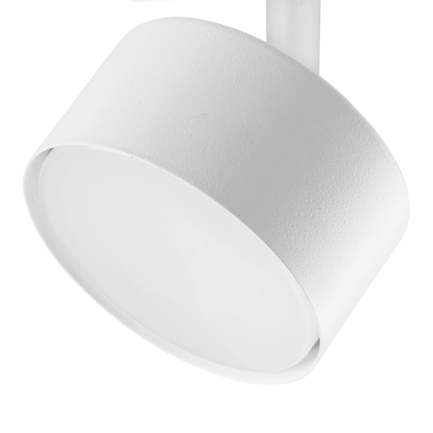 Kohdevalo 1-vaiheiselle kiskojärjestelmälle AVIA 1xGX53/15W/230V valkoinen