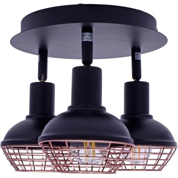 Kohdevalo LOGAN 3xE14/40W/230V