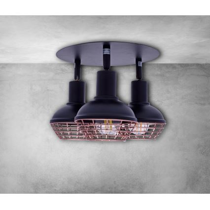 Kohdevalo LOGAN 3xE14/40W/230V
