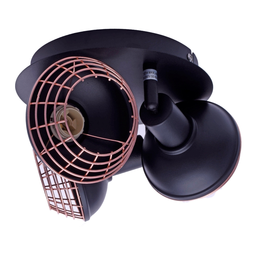Kohdevalo LOGAN 3xE14/40W/230V